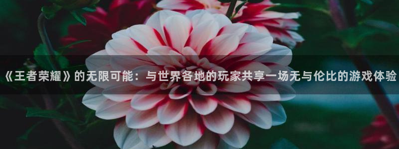 杏宇平台注册地址在哪里看：《王者荣耀》的无限可能：与世界各地