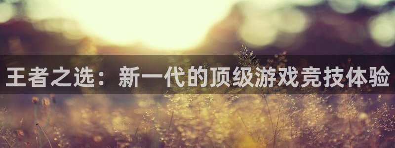 杏宇代理：王者之选：新一代的顶级游戏竞技体验