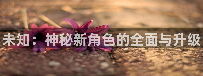 杏宇娱乐平台最新版下载官网：未知：神秘新角色的全面与升级