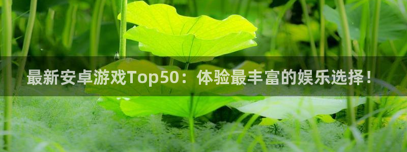 杏宇娱乐登录官网网址