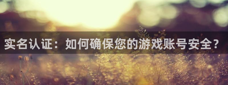 杏宇娱乐登录官网网址是多少：实名认证：如何确保您的游戏账号安