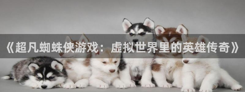 杏宇总代理：《超凡蜘蛛侠游戏：虚拟世界里的英雄传奇》