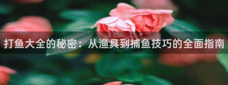 杏宇娱乐登录官网网址入口：打鱼大全的秘密：从渔具到捕鱼技巧的