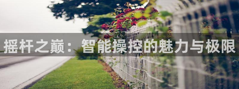 杏宇娱乐平台最新版下载苹果手机：摇杆之巅：智能操控的魅力与极