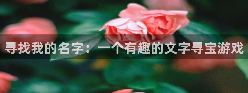 杏宇注册平台登录：寻找我的名字：一个有趣的文字寻宝游戏