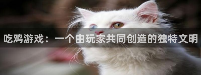 杏宇娱乐登录官网网址：吃鸡游戏：一个由玩家共同创造的独特文明