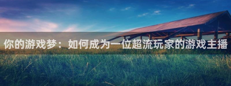 杏宇平台登陆入口地址：你的游戏梦：如何成为一位超流玩家的游戏